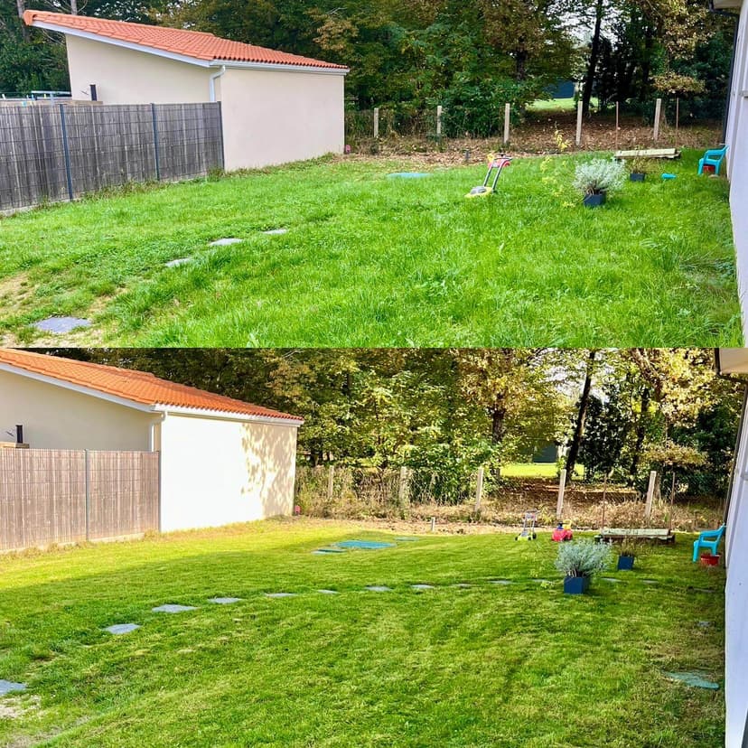 pelouse avant après travail par mike moreton