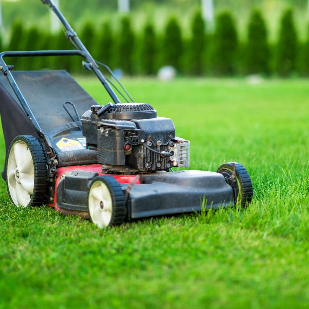 Tonte de pelouse et entretien du jardin